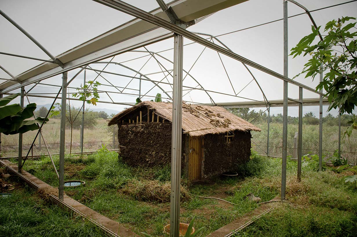 Eine Hütte in “Moskito-City", wo das Verhalten der Mücken unter möglichst realitätsnahen Bedingungen studiert werden kann.