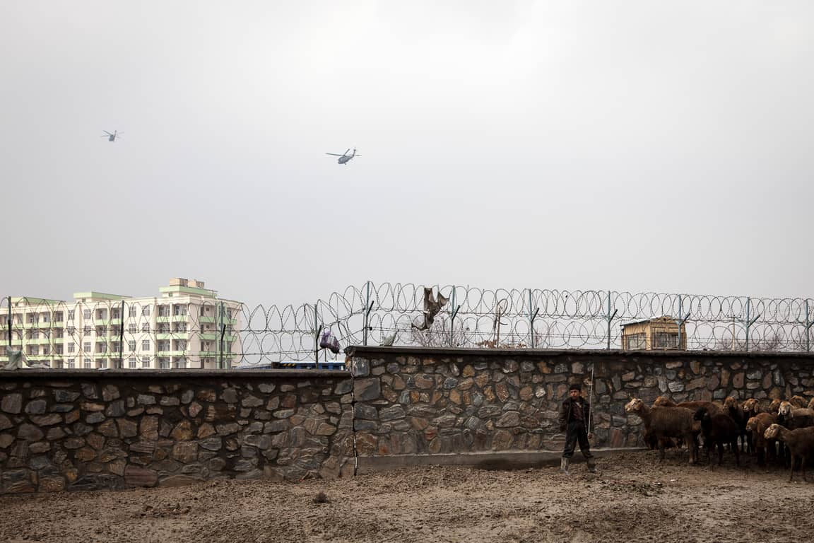 Das Leben in Kabul: Ein Kind hütet Schafe, am Himmel kreisen Helikopter